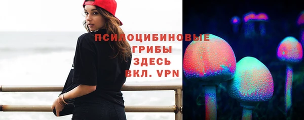 дурь Рославль