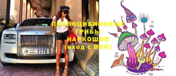 соль ск Балахна